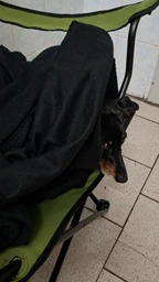 Стул раскладной RZTK Camp Chair фото от покупателей 1