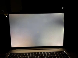 Ноутбук HP ProBook 460 G11 (AD1X2ET) Pike Silver