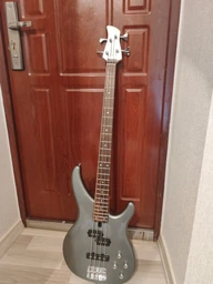 Бас-гитара Yamaha TRBX-204 Grey Metallic (TRBX204 GRME)