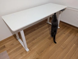 Стіл з електро-регулюванням висоти Двомоторний White Flexi Desk 160x65 см 27897