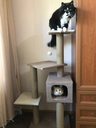 Домик когтеточка для кота дряпка для кошки Мур-Мяу Алиса-2 70 x 70 x 138 см в джутовой веревке Коричнево-Бежевый МТ фото от покупателей 10