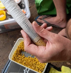 ПВА сетка 3KBaits для тёплой воды 25мм, 10м (3KB5054)