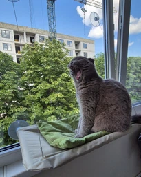 Лежанка для кота оконная VMHouse лежачок гамак для кошки спальное место на присосках розовый (0014-0004) фото от покупателей 11