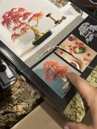 Конструктор LEGO Botanicals Бонсай из японского красного клена 474 детали (10348) фото от покупателей 2