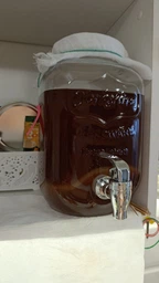 Продукт Чайний гриб KomBUCHA BOX 1 шт на 3л банку фото від покупців 4