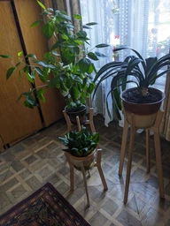 Комплект підставок для вазонів WoodDecor з дерева Білий фото від покупців 4