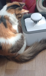 Поилка для животных Pet Water FOUNTAIN фото от покупателей 3