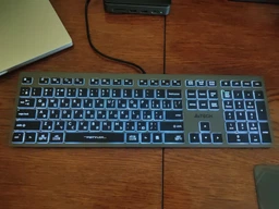 Клавиатура проводная A4Tech FX60H USB Grey White backlit (4711421976343) фото от покупателей 9