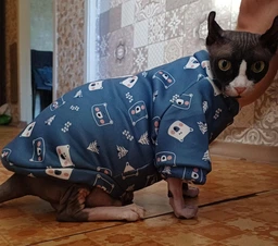 Толстовка для котов (кошек) Лаки Мишки L Серый фото от покупателей 1