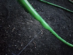 Шланг для поливу GRAD 3 кулі армувань 1/2" 30м (5068055) фото від покупців 1