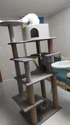Высокий игровой кошачий комплекс когтеточка с большим домиком гамаком коту кошке 195х80х60см серый фото от покупателей 10