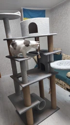 Высокий игровой кошачий комплекс когтеточка с большим домиком гамаком коту кошке 195х80х60см серый фото от покупателей 6