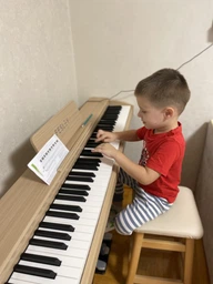 Цифровое пианино Fesley FEP660 (стойка, 3-педали, пюпитр, наушники, накидка,блок питания)