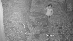 Комплект видеонаблюдения Hikvision Turbo HD-4W KIT фото от покупателей 7