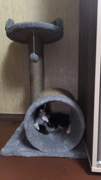 Дряпка для кота Мур-Мяу Лео 40х40х71 см для кішок у джутовій мотузці Коричнево-бежевий фото від покупців 3