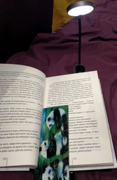 Лампа на прищіпці Baseus Comfort Reading Mini Clip Lamp з вбудованим акумулятором 350 mAh Сірий фото от покупателей 5