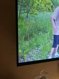 Телевізор Xiaomi TV A Pro 43" ELA5262GL фото від покупців 12