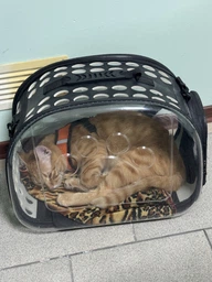 Сумка переноска mini Pet прозора для домашніх тварин (кішок, собак, кроликів і ін.) (Код: IBH010B)