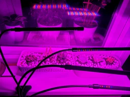 Фитолампа USB для роста растений на 3 лампы, светодиодная LED фито лампа на прищепке светильник для комнатных цветов, рассады, орхидей