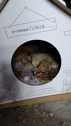 Домик для собак и кошек Lucky Pet ЭКО Домик "Уикенд" 45x45x45 см Белый (4820224213231) фото от покупателей 15