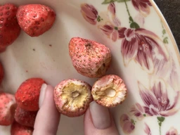 Клубника сублимированная Panfruit Органическая Целая 15 г (4820195680681) фото от покупателей 2