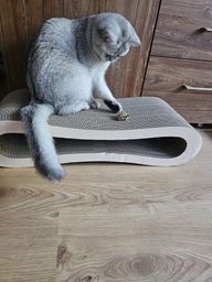Кігтеточка для кішок картонна CLAW-A2сс 65x14x25+Подарунок іграшка для кота миша фото від покупців 4