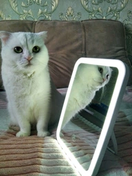 Дзеркало для макіяжу акумуляторне безпровідне 3 режими Smart LED Makeup Mirror косметичне настільне з LED підсвіткою у ванну кімнату біле
