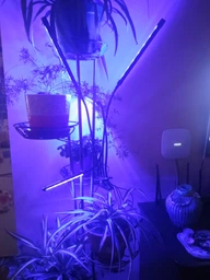 Фітолампа на 4 лампи світлодіодна LED для росту рослин на прищіпці фітосвітильник для кімнатних квітів, розсади, орхідей фіто лампа