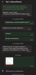Электрический блендер-измельчитель с двухъярусным лезвием Молния фото от покупателей 2
