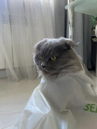 Exclusion Sterilized Beef корм для стерилизованных кошек с говядиной, 1.5 кг фото от покупателей 2