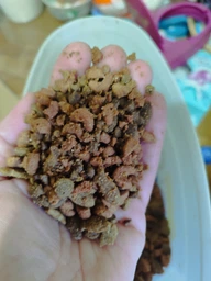 Сухий корм для дорослих котів Brekkies Cat Salmon and Tuna (з лосесем і тунцем) - 3,5 кг