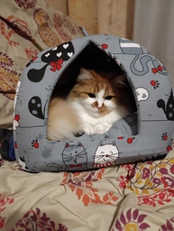 Мягкий домик для домашних животных собак и кошек с котиками 35 x 30 см Incor Серый
