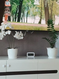 Настольные электронные часы/будильник LED с умной белой подсветкой и термометром (581200357) Зеленый фото от покупателей 1