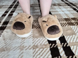 Женские домашние тапочки утепленные с закрытым носком Капибара Capybara 37 24см (10424) фото от покупателей 2