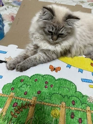 Домик для собак и кошек Lucky Pet ЭКО Домик "Уикенд" 45x45x45 см Белый (4820224213231) фото от покупателей 9