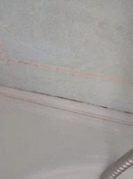 Засіб для видалення цвілі Astonish Mould&Mildew Stain Blaster 750 мл фото від покупців 3