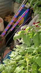 Фитолампа USB для роста растений на 3 лампы, светодиодная LED фито лампа на прищепке светильник для комнатных цветов и рассады фото от покупателей 15
