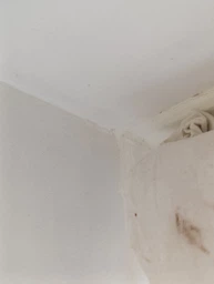 Засіб San Clean Prof Line для видалення плісняви та бруду 750 г (4820003544211) фото від покупців 1