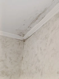 Засіб San Clean Prof Line для видалення плісняви та бруду 750 г (4820003544211)