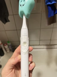 Набор электрических зубных щеток PHILIPS Sonicare HX3675/13 Gemini 3100 фото от покупателей 2