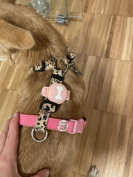 Чехол брелок для Apple AirTag на ошейник для собак AirTag case for dog Clip Blue Kayfovo ATB-1 фото от покупателей 2