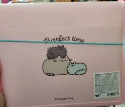 Папка B5 на гумці пластикова Pusheen YES, 492306 фото від покупців 1