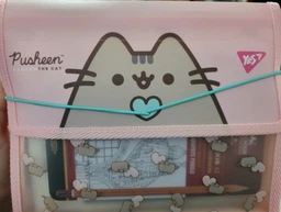Папка B5 на гумці пластикова Pusheen YES, 492306