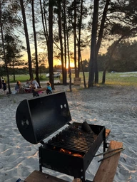 Мангал - гриль барбекю Vesuvi BBQ Wood 600 3 мм (m-Wood) фото от покупателей 9