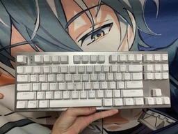 Клавіатура Hator Gravity X TKL White (HTK551UA) фото від покупців 9
