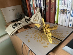 Игра Ghost of Yotei Collector's Edition для PS5 (электронный ключ) фото от покупателей 1