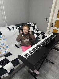 Цифровое пианино Fesley FEP660 BK (стойка, 3-педали, пюпитр, наушники, накидка,блок питания)