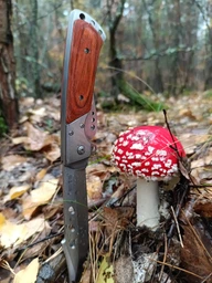 Нож складной Универсальный с Удлиненным лезвием Наваха для ЗСУ фото от покупателей 5