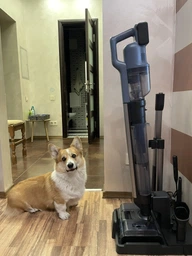 Пилосос Electrolux EW82U2DB (m522858)