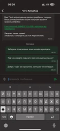 Электрогрелка SHINE ЕГ-1/5 USB с подогревом от павербанка фото от покупателей 3